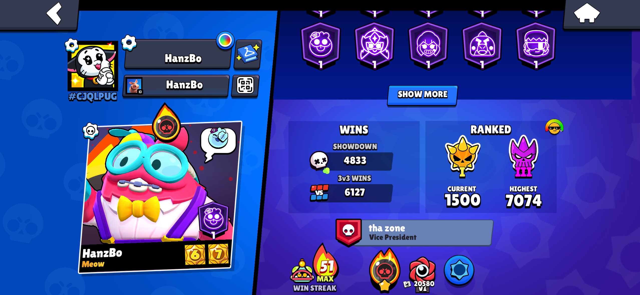 Scrolling down the profile past wins and ranked stats to the badge row